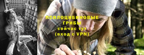 прущие крисы Абаза