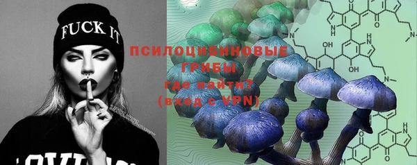 прущие крисы Абаза